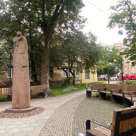 Izuminka V Centre Goroda Lviv Bagian luar foto